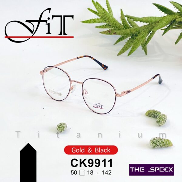 FIT METAL FRAMES CK9911 (Gold & Black)